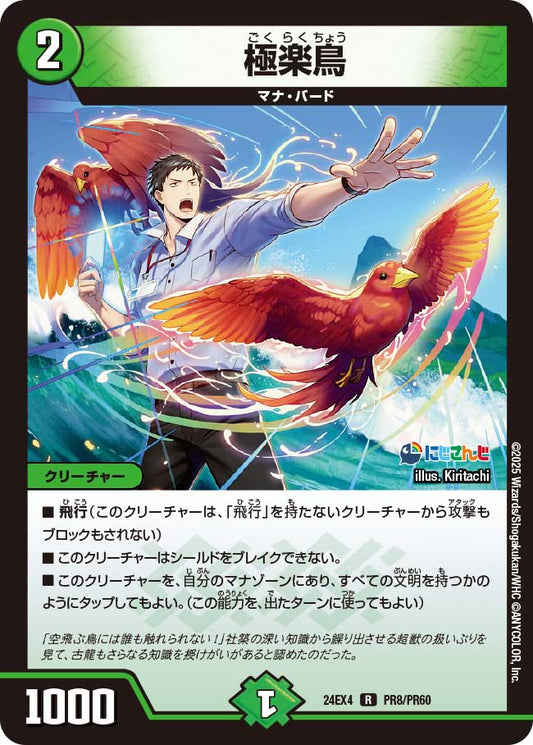 極楽鳥(DM24EX4 PR8/PR60)